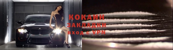 прущие грибы Абаза