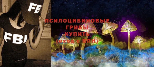 прущие грибы Абаза