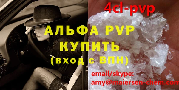 прущие грибы Абаза
