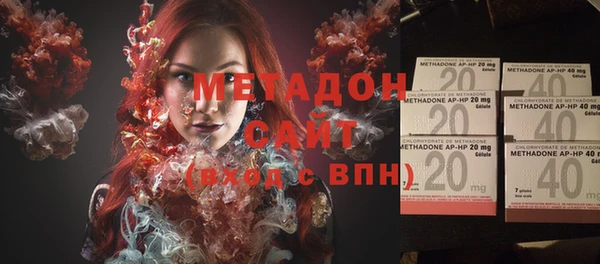 прущие грибы Абаза