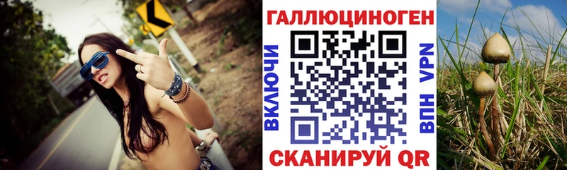 Псилоцибиновые грибы мицелий Александровск-Сахалинский